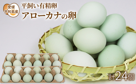 平飼い有精卵 アローカナの卵 もりもり農園 青い卵 平飼い 卵 有精卵 採れたて 卵 希少 卵 国産 愛媛 宇和島 F010-157001