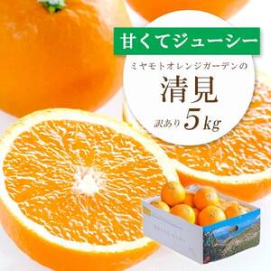 ミヤモトオレンジガーデンの「清見5kg」【訳あり】【C25-138】【1138006】