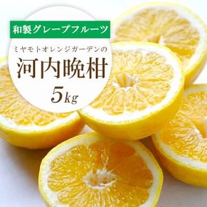 ミヤモトオレンジガーデンの「河内晩柑 5kg」【C25-130】【1151744】