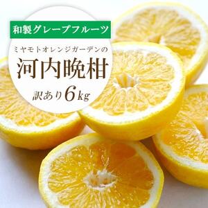 ミヤモトオレンジガーデンの「河内晩柑 6kg」【訳あり】【C25-136】【1151745】