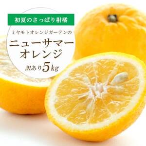 ミヤモトオレンジガーデンの「ニューサマーオレンジ5kg」【訳あり】【C25-140】【1268369】