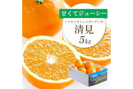 ミヤモトオレンジガーデンの「清見5kg」【D25-126】【1268370】
