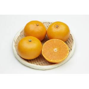 柑橘の鬼たちがつくる八幡浜産・せとか3kg 【C56-20】【1270402】