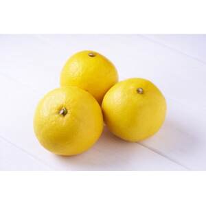 柑橘の鬼　さわやかな果実!ニューサマーオレンジ5.5kg【C56-35】【配送不可地域：離島】【1383235】