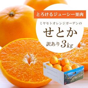 【2025年2月以降発送】とろける濃厚柑橘 せとか3kg 愛媛県八幡浜産【訳あり】【1128816】