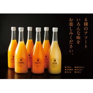 6種みかんジュースセット【E56-50】【1490301】