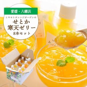 高級柑橘せとか寒天ゼリーセット8本 ミヤモトオレンジガーデン【C25-27】【1502269】