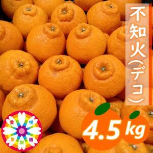 愛咲果樹園 「 不知火 ( デコ )」約4.5kg【C71-12】【1344721】