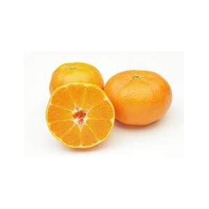 柑橘の鬼たちがつくる八幡浜産・甘平(2.7kg～3.0kg)【訳あり】【D56-49】【配送不可地域：離島】【1486185】