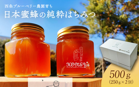 日本蜜蜂の純粋はちみつ 500g （250g×2個）　ハチミツ 純粋はちみつ 百花はちみつ 日本蜜蜂 化粧箱 ギフト 西条ブルーベリー農園