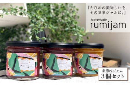 ＜無添加・手作り＞えひめ県産フルーツ使用－rumijam－季節のジャム３個セット