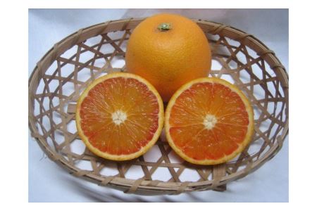 タロッコ（ブラッドオレンジ）　2.5ｋｇ　Ｍ～2Ｌ混合（8～14玉）