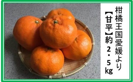 柑橘王国愛媛産柑橘【甘平】約2.5kg～まごころ手選り手詰め