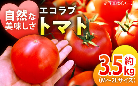 自然な美味しさ、たっぷり味わう。エコラブトマトM〜2Lサイズ（20〜24玉）約3.5kg　愛媛県大洲市/沢井青果有限会社