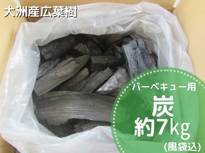 【数量限定】バーベキューに最適な大洲産「木炭」約7kg　愛媛県大洲市/大洲市森林組合[AGBK003]