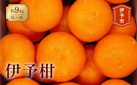 みかん 愛媛 伊予柑 3L～4Lサイズ（約9kg） 人気 数量限定 柑橘 伊予市｜B160