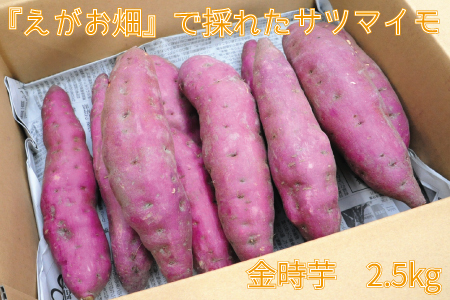 『えがお畑』で採れたサツマイモ金時芋 2.5kg