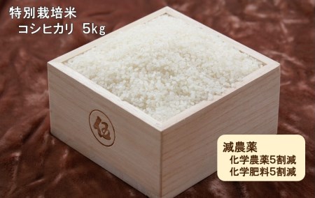 令和５年産　西予市宇和町産特別栽培米コシヒカリ５kg