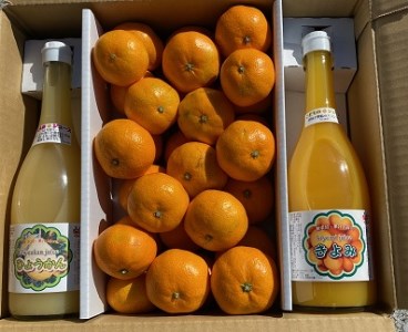 「柑橘王国セット」みかん×みかんジュース