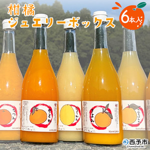西予市産柑橘ジュエリーボックス6本入り（無添加果汁100％ジュース）