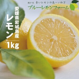 愛媛　ブルーレモンファームのレモン　約1kg　【2024年4月～順次発送】【1489653】