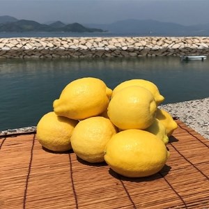 青いレモンの島　ジャンボレモン2kg(冷蔵)【配送不可地域：離島】【1113730】