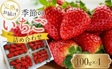 季節のイチゴ詰め合わせ(400ｇ×4パック)