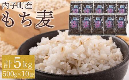 内子町産 もち麦（5kg）【穀物 穀類 食品 人気 おすすめ 送料無料】