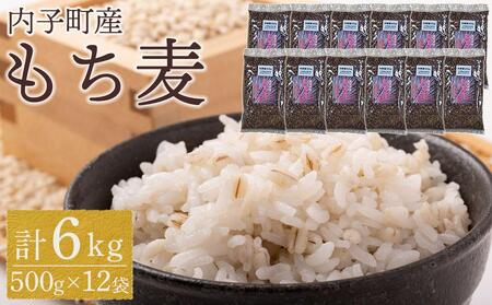 内子町産 もち麦（6kg）【穀物 穀類 食品 人気 おすすめ 送料無料】