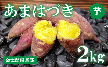【20セット限定】新品種あまはづき　生芋（2kg）