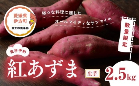 【先行予約】【数量限定】紅あずま 生芋（2.5kg）| さつまいも サツマイモ 紫 産地直送　※2024年12月上旬～2025年4月下旬頃に順次発送予定