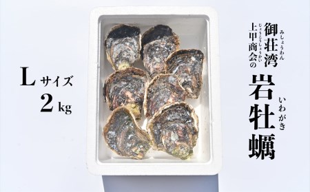 岩牡蠣 Ｌサイズ 2kg 以上 魚貝類 殻付き 牡蠣 かき BBQ 上甲商会 愛媛県 愛南町 
