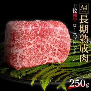 エイジング工法　熟成肉　土佐和牛　特選ロース　ブロック　約250g（冷凍）