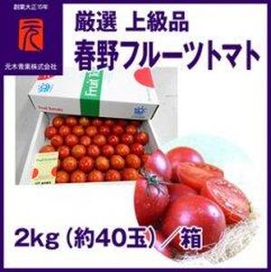 春野フルーツトマト 厳選 上級品 約2kg（約40玉） | 元木青果 ＜2024年2月中旬以降発送＞