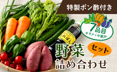 野菜７種とポン酢セット _rk002