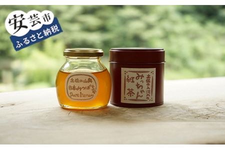 みっちゃん紅茶と土佐の山奥日本みつばちpure honey