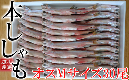 北海道産 ししゃも【オス】M30尾 魚介類 ししゃも 魚 海鮮 海の幸 北海道 本ししゃも Mサイズ オス