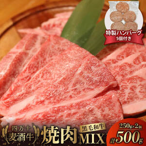 牛肉 焼肉用 ミックス 四万十麦酒牛 500g ( 250g × 2パック ) 合い挽きハンバーグ 150g × 5個 セット