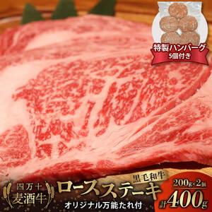 牛肉 ロース ステーキ 四万十麦酒牛 400g ( 200g × 2枚 ) オリジナル 万能ダレ付き 合い挽きハンバーグ 150g × 5個 セット