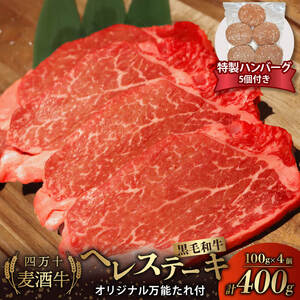 牛肉 ヘレ ステーキ 四万十麦酒牛 400g ( 100g × 4枚 ) オリジナル 万能ダレ付き 合い挽きハンバーグ 150g × 5個 セット