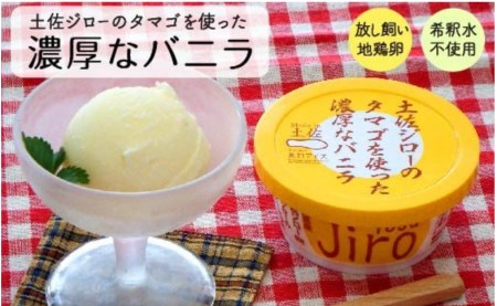 アイスクリーム 10個 セット 濃厚 バニラ 土佐ジロー 卵 使用 高知県産 須崎市