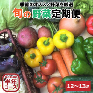定期便 野菜 6回 12~13品前後 6か月 詰め合わせ セット 毎月お届け 半年間 高知県 須崎市