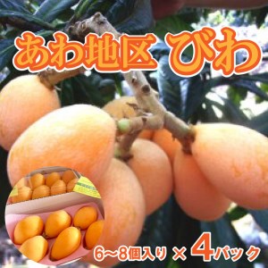 びわ フルーツ おすすめ 6～8個 × 4パック 旬 果実 ギフト 須崎市 枇杷 期間限定