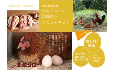 高知県特産鶏『土佐ジロー』の親鶏肉とたまごのセット＜期間限定・数量限定＞