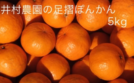 井村農園の足摺ぽんかん（５㎏）デコポンの親 みかん 柑橘 フルーツ 先行予約【R00222】