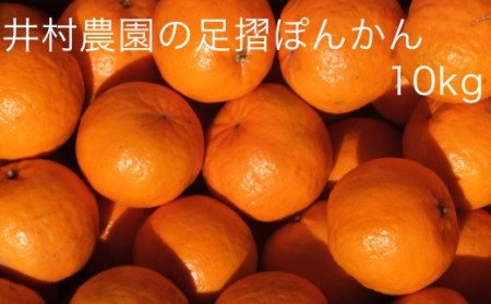 井村農園の足摺ぽんかん（10kg）デコポンの親 みかん 柑橘 フルーツ 先行予約【R00488】