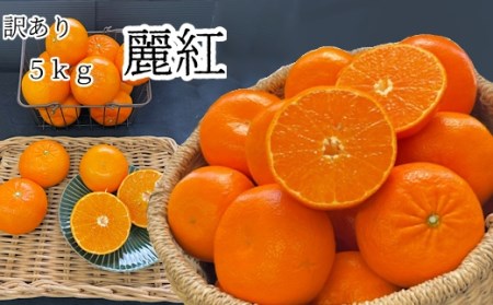 【訳あり】早川農園の麗紅(れいこう)５kg　みかん 柑橘 フルーツ 先行予約【R00223】