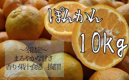 早川農園のぽんかん（10kg）デコポンの親 みかん 柑橘 フルーツ 先行予約【R00479】