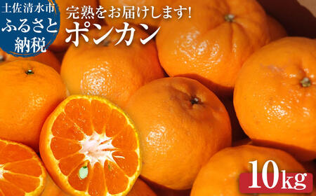 オレンジ園のぽんかん10kg デコポンの親 みかん 柑橘 フルーツ 先行予約【R00489】