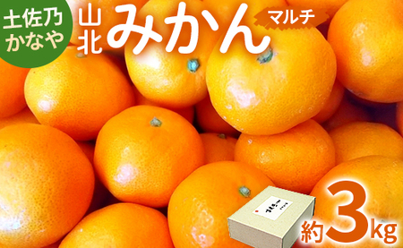 土佐乃かなや マルチ 山北みかん3kg - 柑橘 ミカン 果物 フルーツ のし かなや農園 合同会社Benifare be-0016